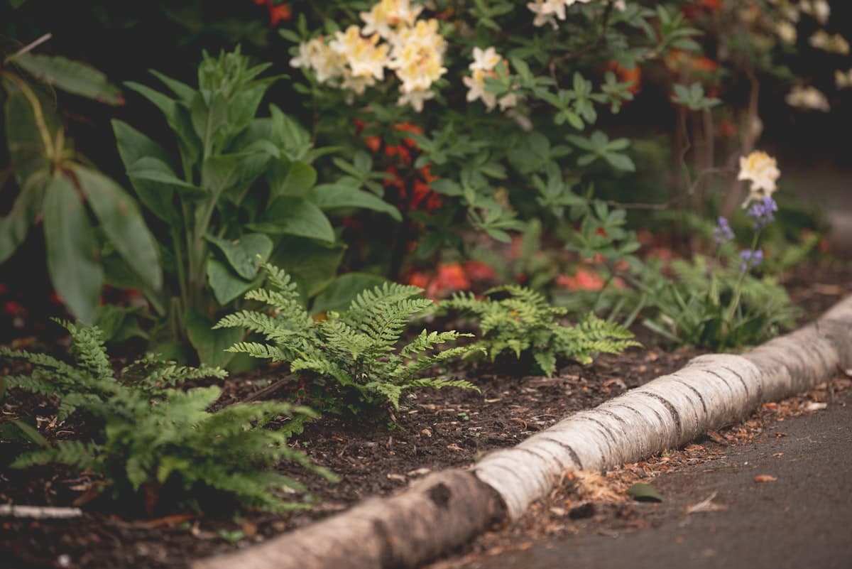 Example of concrete curbing work